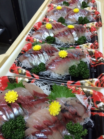 アジの釣果