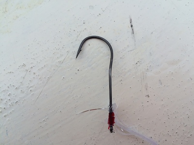 夜の太刀魚釣りハシゴして時差ボケ中。。。