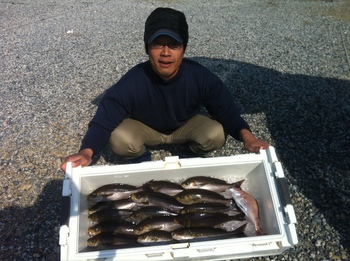 イサキの釣果