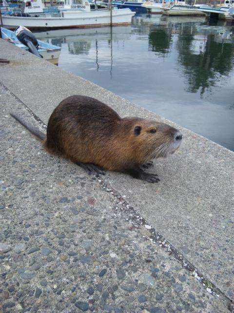 今年も残りわずか・・・