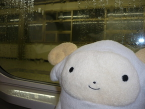 台風につかまった！！