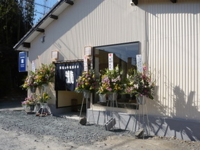 開店いたしました♪
