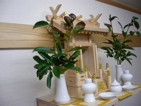 榊の枝