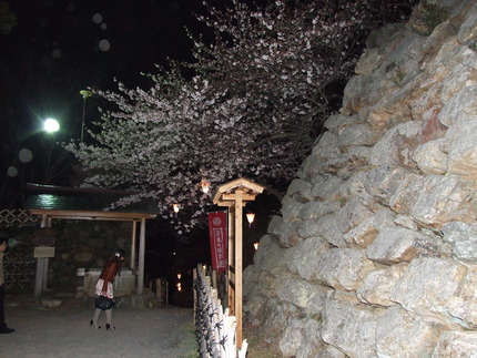 夜桜の浜松城