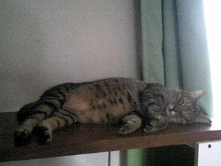 戻りました♪