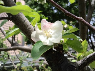 浜松科学館へ行ってきました