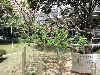 浜松科学館へ行ってきました