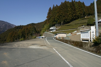 桂山遺跡
