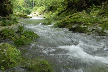 阿多古川（峡谷、渓谷）