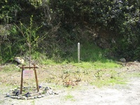 根堅遺跡（浜北人） 2010/01/27 15:28:09