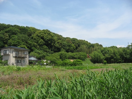 三方原台地（河成段丘地形）