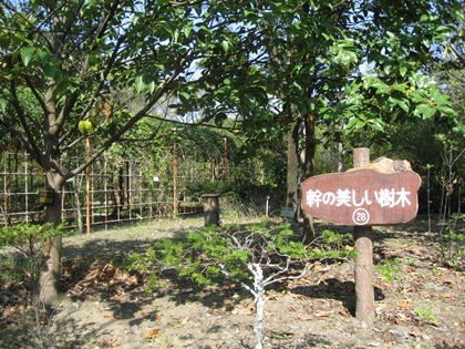 浜松市緑化推進センター