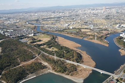 馬込川河口の野鳥