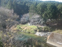 川合淵公園 2010/01/27 16:45:22