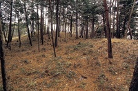 北岡大塚古墳 2010/01/27 17:06:57