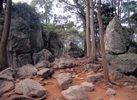 渭伊神社境内遺跡 2010/01/27 17:24:44