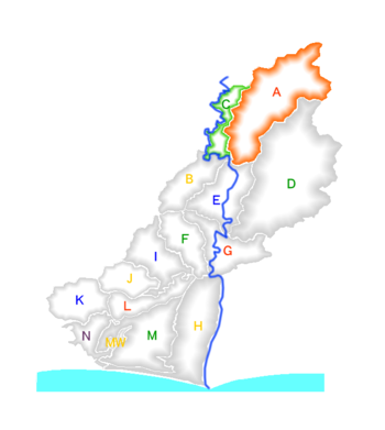 A,C