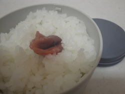 早起き＾＾；