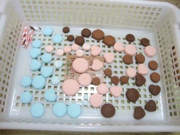 マカロンいっぱい＾＾