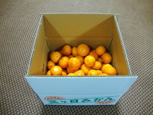 イベントのお知らせです＾＾
