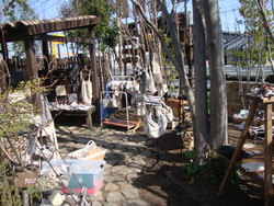 トム想野まつり終わりました♪