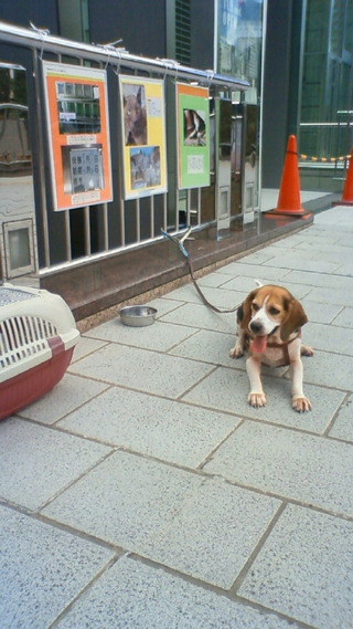 浜松駅前なう！！