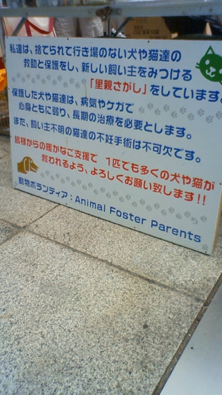浜松駅前なう！！
