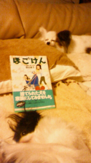 読者タイム♪