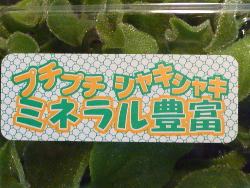 これな～んだ？