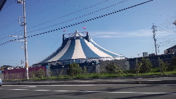 POP CIRCUS