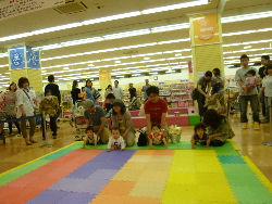 ハイハイレース