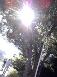 夏といえば ソの４ 2011/07/15 07:43:19