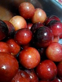 いただきもの。 2011/07/05 18:10:32