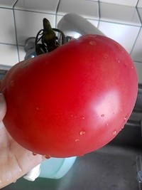 これ大好きなんです。 2011/07/24 17:01:45