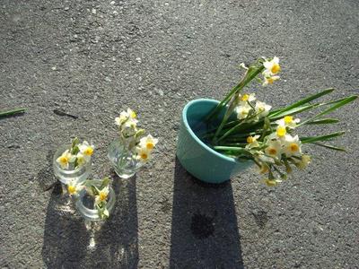 花泥棒♪