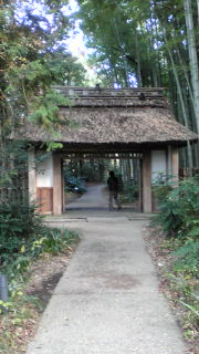 御殿場の紅葉♪癒しの旅☆