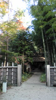 御殿場の紅葉♪癒しの旅☆