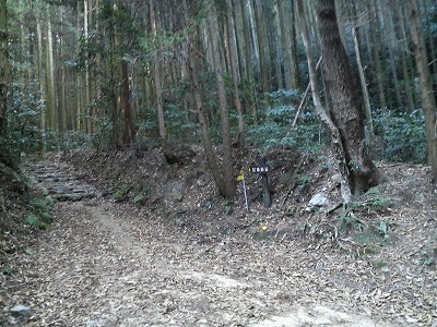 湖西連峰、坊ケ峰、姫街道