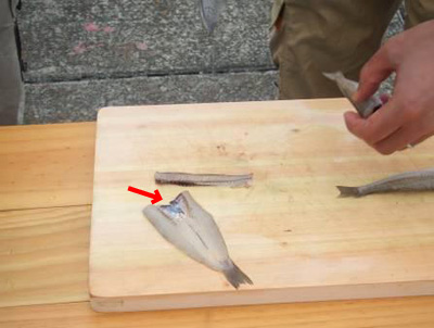 シロギスのさばき方 L Anglers Fish Recipe