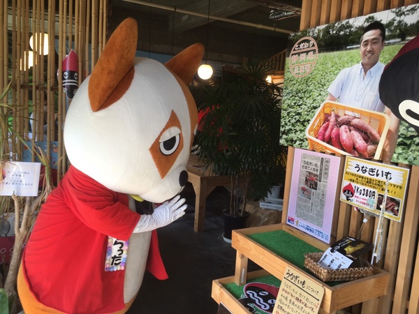 2017うなぎいもフェスタ〜