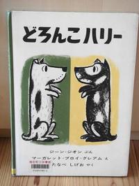 どろんこハリー 2010/06/27 19:07:23