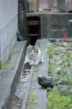 朝の癒し♪