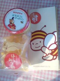 長坂養蜂場 2008/03/29 17:28:56