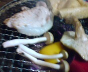 好き嫌い 2008/11/15 18:43:52
