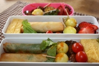遠足　弁当　２３ 2010/05/14 07:36:30