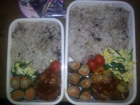 ハンバーグ弁当 2011/10/05 07:58:35