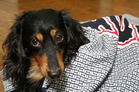１日目終了☆ﾐ 2009/10/10 22:16:49