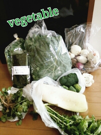 無農薬vegetable  day♪