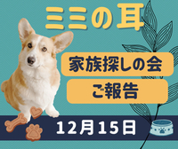 12月15日家族探しの会〜ご報告〜