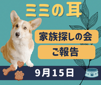 9月15日家族探しの会〜ご報告〜